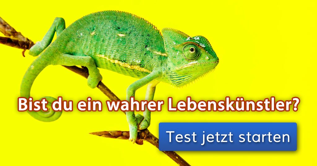 Bist du ein wahrer Lebenskünstler?