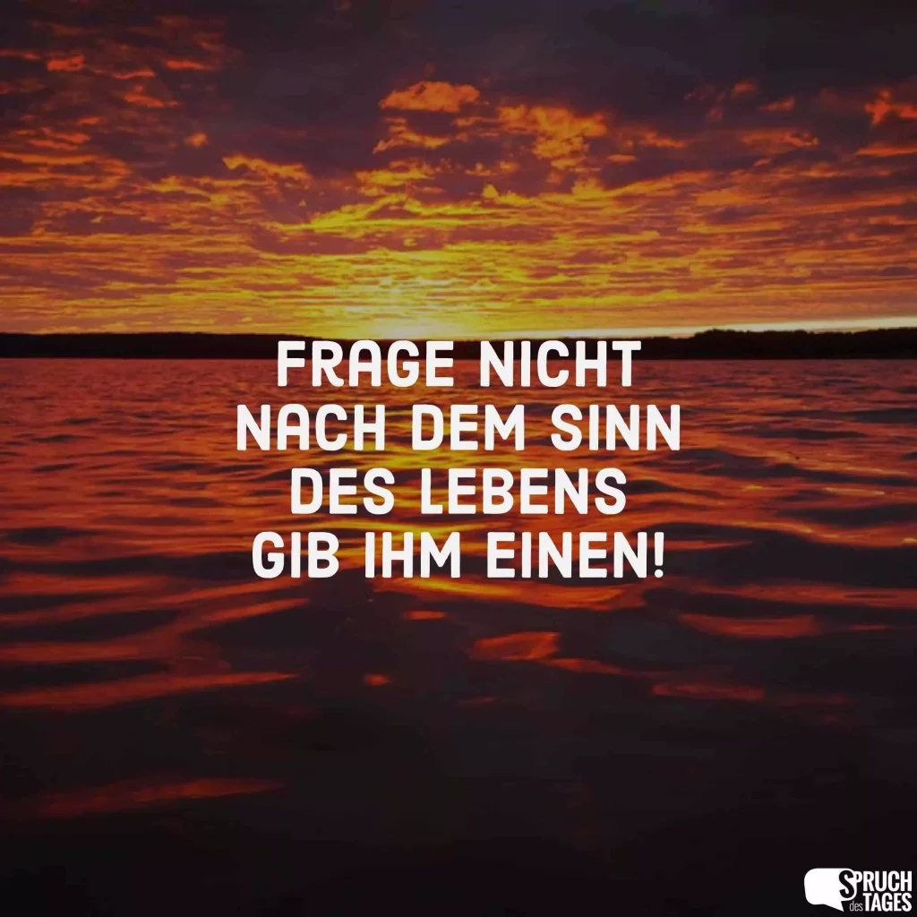 Frage nicht nach dem Sinn des Lebens, gib ihm einen!