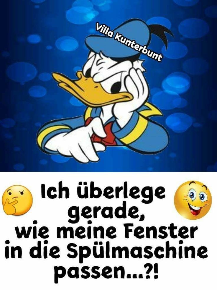 Ich überlege gerade, wie meine Fenster in die Spülmaschine passen..?