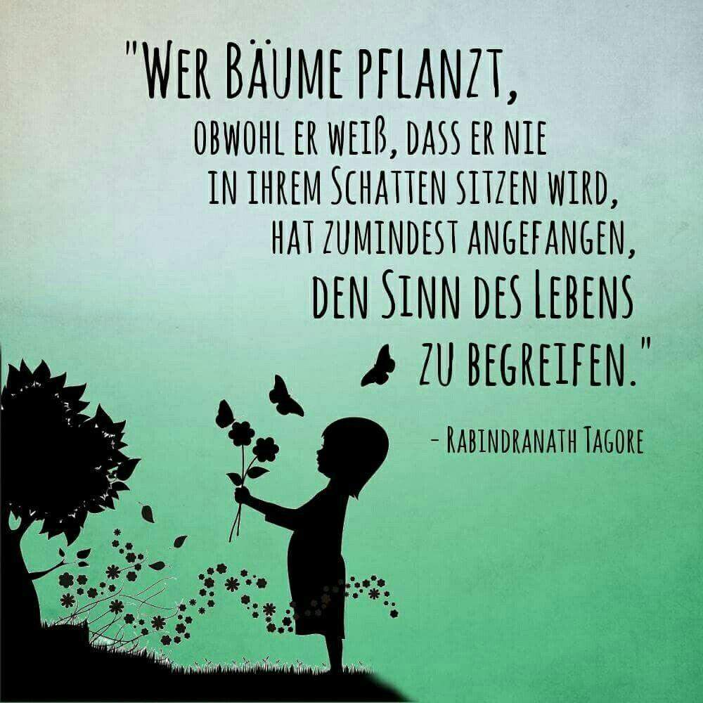 "Wer Bäume pflanzt, obwohl er weiss, dass er nie in ihrem Schatten sitzen wird, hat zumindest angefangen, den Sinn des Lebens zu begreifen." Von Rabindranath Tagore